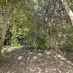 Casa Nel Bosco ヴィラ *