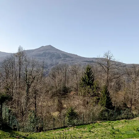 Vila Casa Nel Bosco *