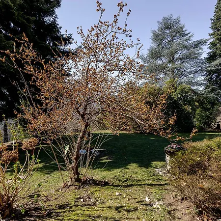 Casa Nel Bosco Montegrino Valtravaglia