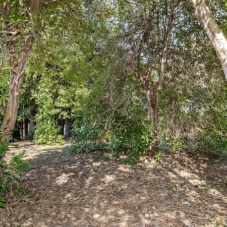 Casa Nel Bosco