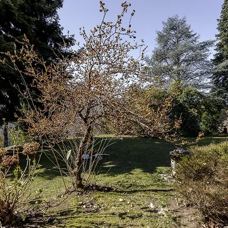 Villa Casa Nel Bosco Montegrino Valtravaglia