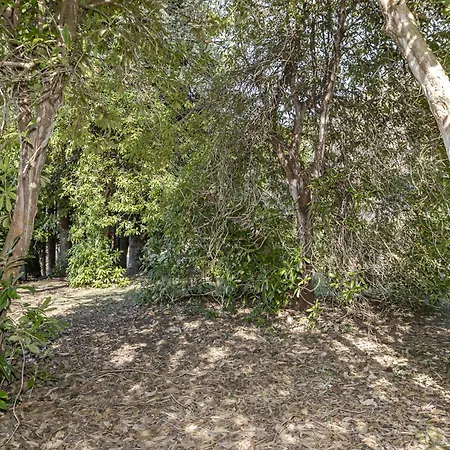 Casa Nel Bosco Villa *