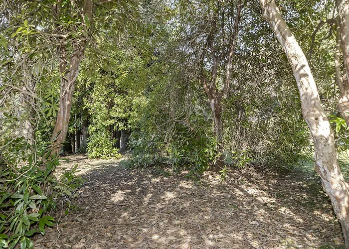 Casa Nel Bosco Villa *