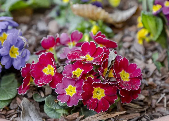 빌라 Casa Nel Bosco